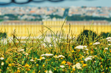 Sticker - A beautiful view of Vienna city at Austria.