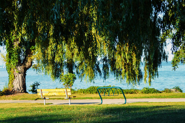 Wall Mural - A beautiful view of Toronto Island Park at Toronto, Canada.