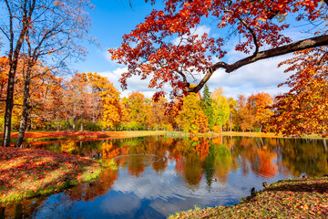 Wall Mural - Alexander park in fall, Pushkin (Tsarskoe Selo), Saint Petersburg, Russia