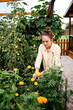 © MeganBetteridge - Woman cutting cut flower from flower garden