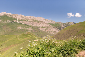 Mountain landscape with green meadow. Mountain valley