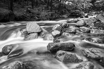 Wall Mural - Rocks and boulders in the mountain stream in the forest in the Giant Mountains in Poland, black and white