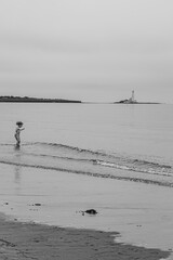 Wall Mural - fishing in the sea