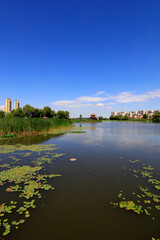 Wall Mural - Summer Landscape of Waterfront City, Tangshan City, China