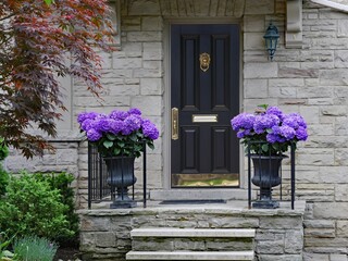 Poster - Front porch of stone faced traditional house with flower pots of beautiful blue hydrangea flowers