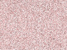 Pink Carpet Texture Background Image
