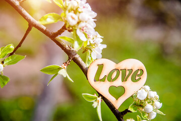 A symbol of love among the branches of a blooming Apple tree
