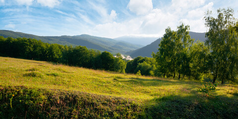 Wall Mural - trees on the meadow in mountains. beautiful morning scenery. clouds on the sky. ridge in the distanc