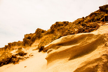 sand dunes in the desert