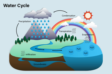 Wall Mural - Diagram of Water cycle, Hydrologic cycle, Biogeochemical cycle for education chart