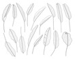 © TWINS DESIGN STUDIO - Exotic tropical leaf hand drawn vector. Botanical leaves, Canna leaves, banana leaf, black and white engraved ink art. Design for fabric, textile print and wrapping paper.