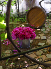 Wall Mural - peonies in the garden