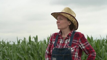 Wall Mural - Female farmer standing in corn field