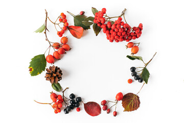 Autumn natural wreath of leaves, cones, berries on a white background, place for text, autumn concept 