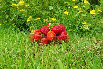 A glass mug of ripe strawberries