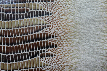 Leather surface with a snake print.