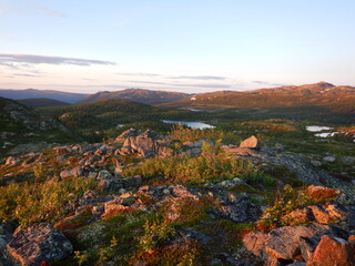 Sunset landscape