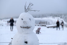Close-up Of Snow Man