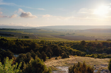 Green mountain valley view. Summer nature landscape.