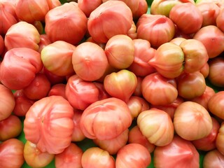 Canvas Print - Closeup shot of tasty looking tomatoes bunch