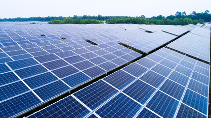 Wall Mural - Detailed close-up of modern large photovoltaic solar panels.