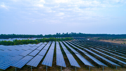 Wall Mural - Aerial photography of modern large-scale photovoltaic solar panels.