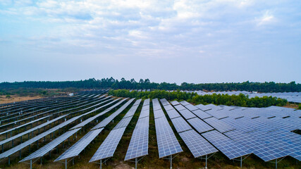 Wall Mural - Aerial photography of modern large-scale photovoltaic solar panels.