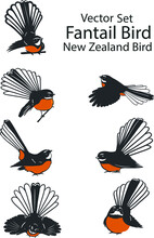 Set Of Fantail Birds,new Zealand Bird