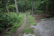A Trail From Chimney Rock