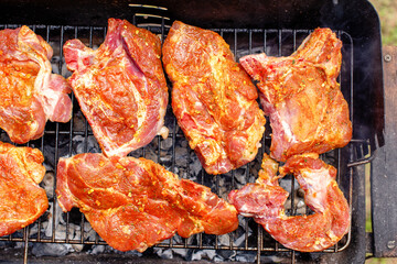 Homemade grilled food close up