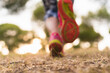 © Kike Arnaiz/Stocksy - Selective focus of a blurry sport shoes on the grass