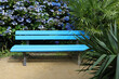 © Marcel/Stocksy - Blue bench in a park