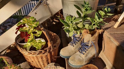 old shoes boots reused as garden decoration. Zero waist concept