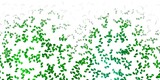 Fototapeta Dinusie - Light green vector background with random forms.