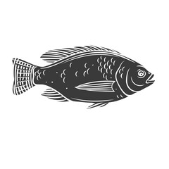 Poster - Tilapia fish glyph icon.