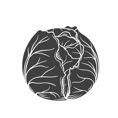 Wall Mural - Cabbage glyph icon