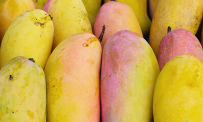 Picture of Yellow Mango, ripe Thai fruit with a delicious sweet aroma