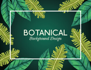 Sticker - tropical leafs in square frame and lettering botanical background design