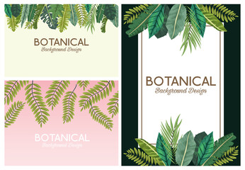 Sticker - tropical leafs in frames and letterings botanical backgrounds designs