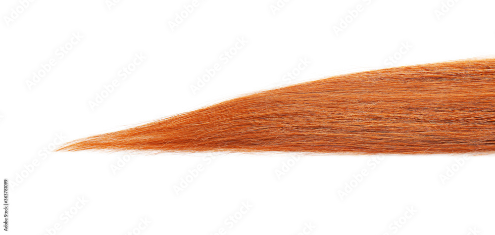 Beautiful red hair on white background