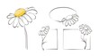 Decorative daisies. Set vector design elements, frame of chamomile.