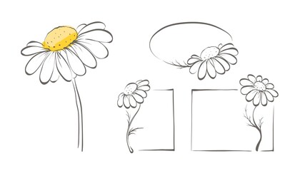 Wall Mural - Decorative daisies. Set vector design elements, frame of chamomile.