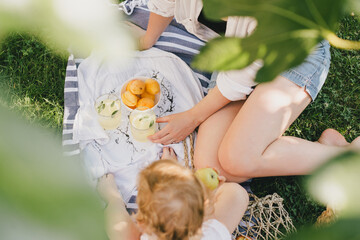 Young mother and her child having cozy summer picnic with fresh lemonade and fruits in a park.