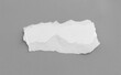 © naiauss - Ripped paper on gray background, space for advertising copy.
