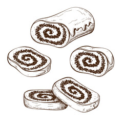 hand drawn poppy seed cake or strudel with slices isolated on white. bun or roll filled with poppy seeds set. engraved pastry sketch. Vector illustration of polish traditional dessert. christmas cake.