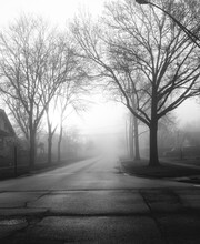 Empty Suburban Road On Foggy Morning