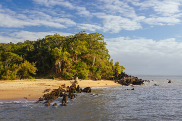 Wall Mural - Palm Cove Beachfront Queensland Australia