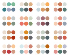 Seamless Pattern With Color Palettes