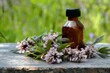Fresh flowers of motherwort and a bottle of tincture on the background of a meadow close up