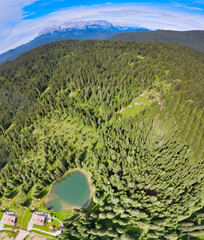 Wall Mural - Alpin lake in summer time surrounded by beautiful forest, overhead downward aerial view